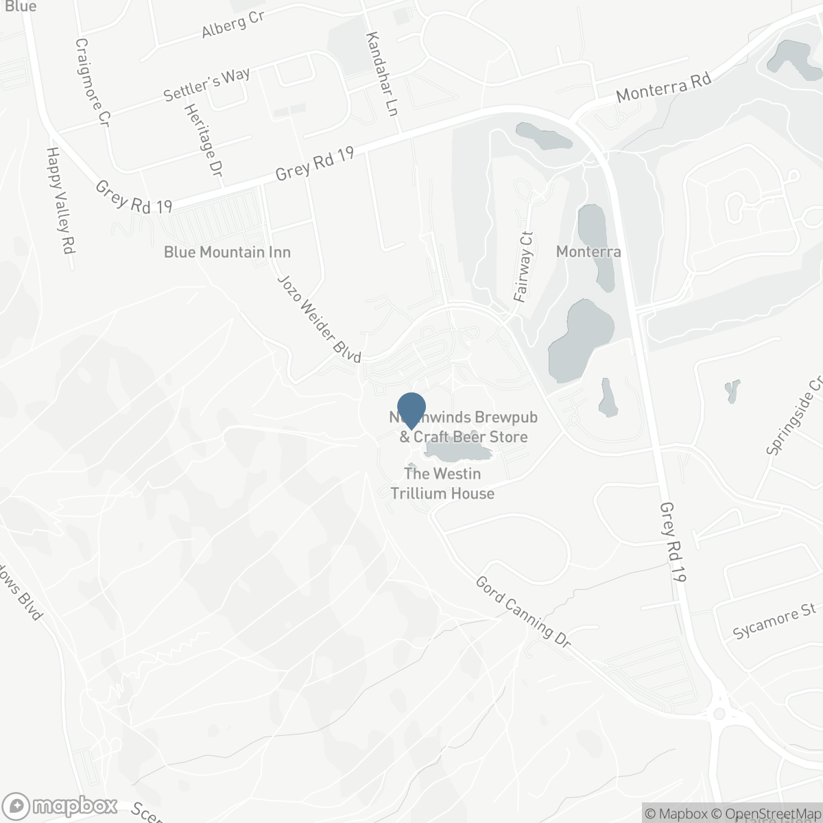 146 - 170 JOZO WEIDER BOULEVARD, The Blue Mountains, Ontario L9Y 0V2